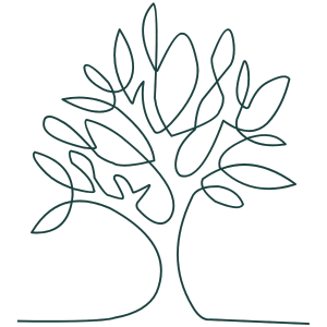 Fils issus des arbres